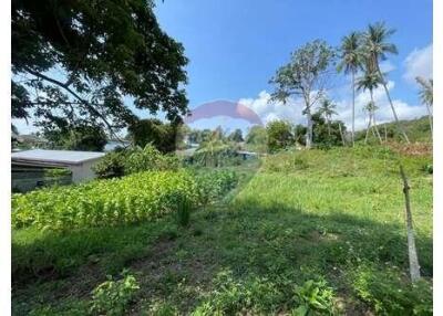 The land for sale near Bangkok Hospital 4 Rai 25 Sq.w.