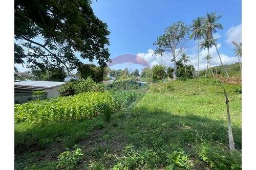 The land for sale near Bangkok Hospital 4 Rai 25 Sq.w.