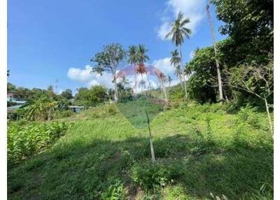 The land for sale near Bangkok Hospital 4 Rai 25 Sq.w.