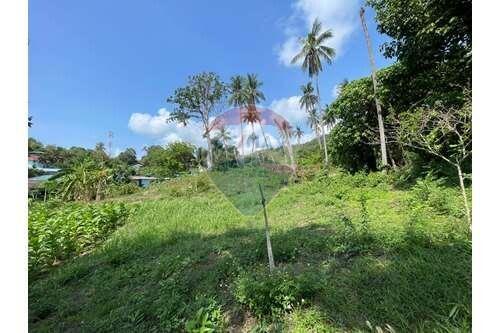 The land for sale near Bangkok Hospital 4 Rai 25 Sq.w.