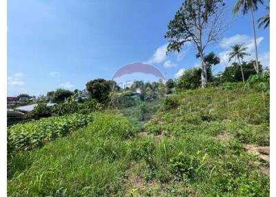 The land for sale near Bangkok Hospital 4 Rai 25 Sq.w.