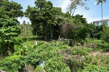 The land for sale near Bangkok Hospital 4 Rai 25 Sq.w.