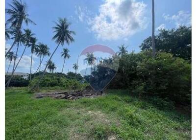 The land for sale near Bangkok Hospital 4 Rai 25 Sq.w.