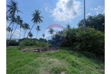 The land for sale near Bangkok Hospital 4 Rai 25 Sq.w.