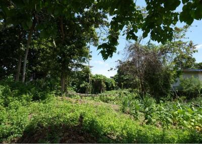 The land for sale near Bangkok Hospital 4 Rai 25 Sq.w.