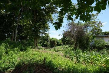 The land for sale near Bangkok Hospital 4 Rai 25 Sq.w.