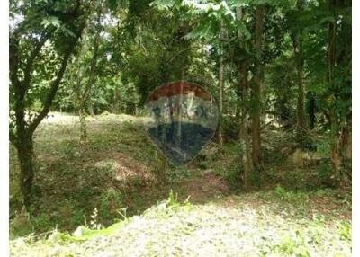 Secret Garden Land for sale