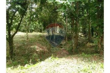 Land for sale in Ang Thong, Koh Samui