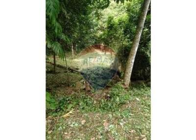 Land for sale in Ang Thong, Koh Samui