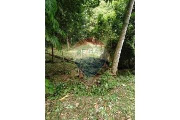 Land for sale in Ang Thong, Koh Samui