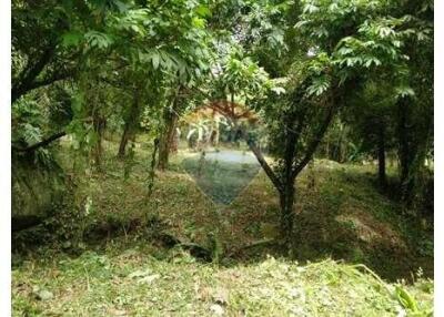 Secret Garden Land for sale