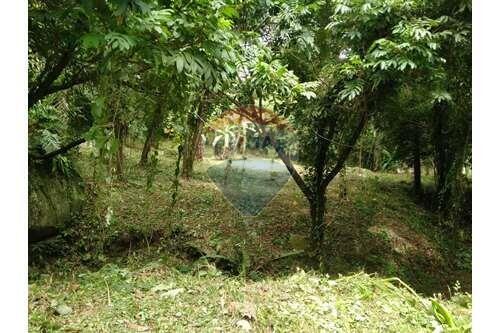 Land for sale in Ang Thong, Koh Samui