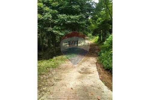 Secret Garden Land for sale