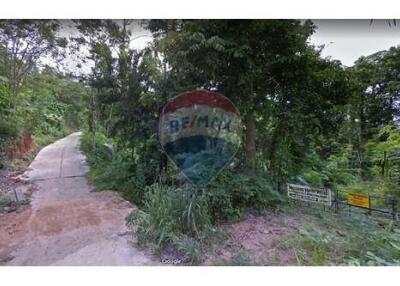 Land for sale in Ang Thong, Koh Samui