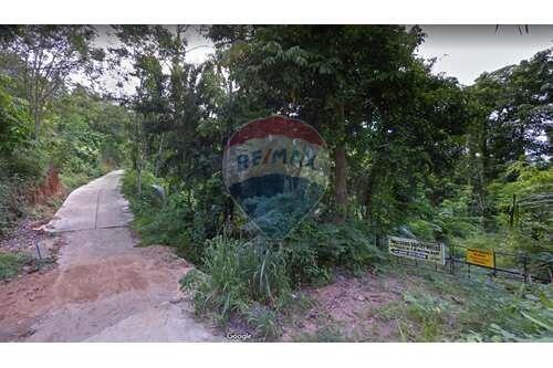 Land for sale in Ang Thong, Koh Samui