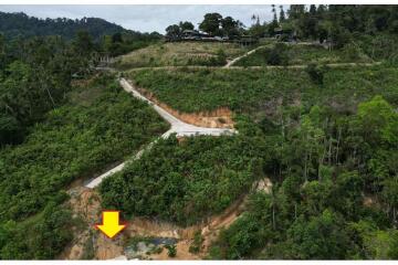 Spectacular sea view land for sale in Lipanoi, Koh Samui (plot3)