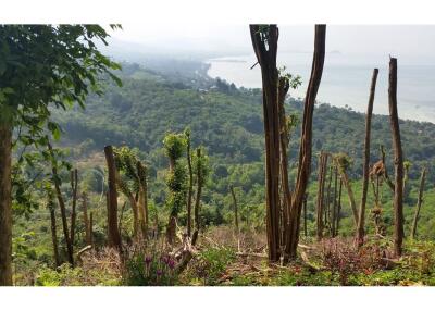 Koh Samui - Freehold -Sea view Land for sale