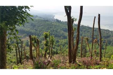 Koh Samui - Freehold -Sea view Land for sale