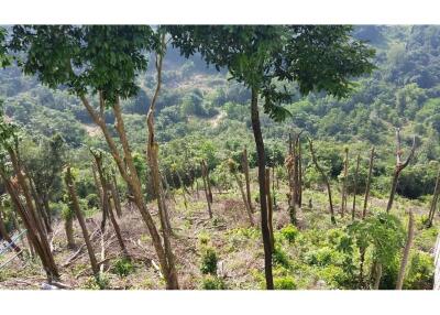 Koh Samui - Freehold -Sea view Land for sale