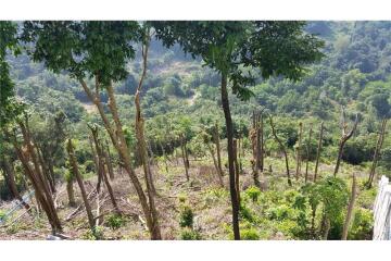 Koh Samui - Freehold -Sea view Land for sale