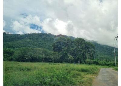 Land Middle between waterfall and mountain ,Koh Samui