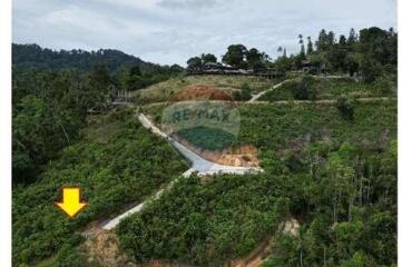 Spectacular sea view land for sale in Lipanoi, Koh Samui (plot1)