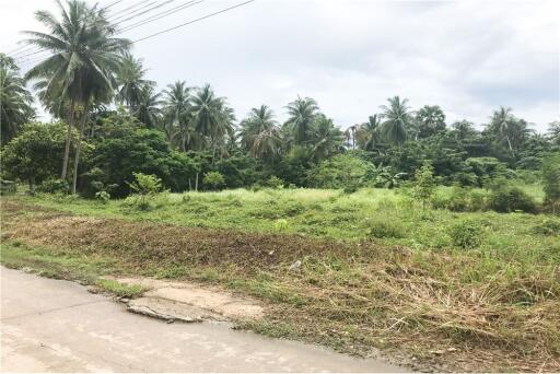 Land for Sale near Four Seasons Resort, Khao Laem Yai