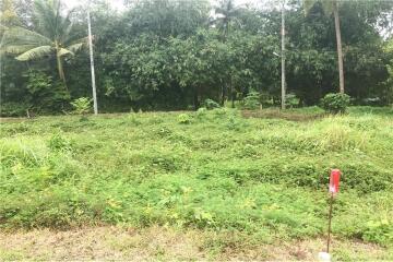 Land for Sale near Four Seasons Resort, Khao Laem Yai