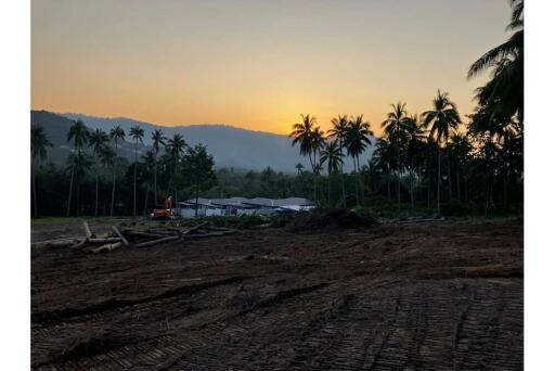 Beautiful Mountain & Sunset View Land for Sale 800 SQ.M @MaeNam Soi 1