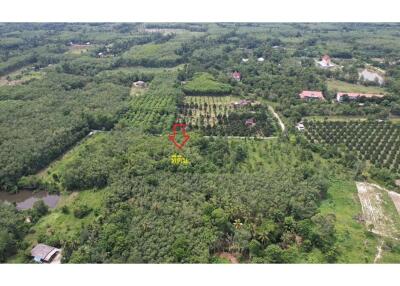 21,120 Sqm. Land listed for ฿ 7,000,000.