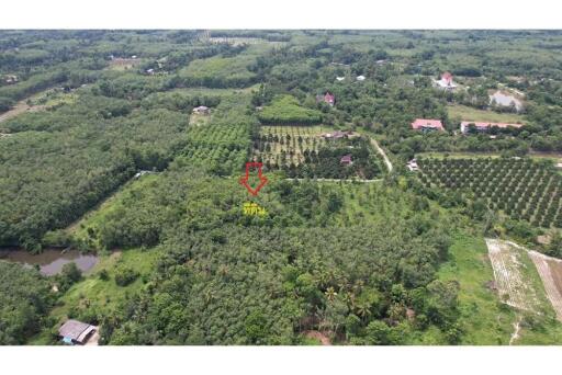 21,120 Sqm. Land listed for ฿ 7,000,000.