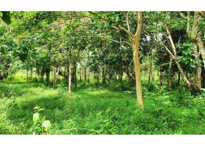 21,120 Sqm. Land listed for ฿ 7,000,000.