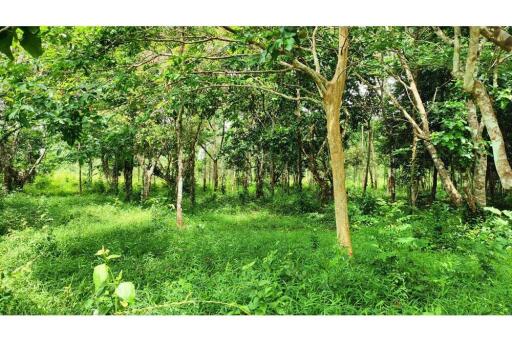 21,120 Sqm. Land listed for ฿ 7,000,000.