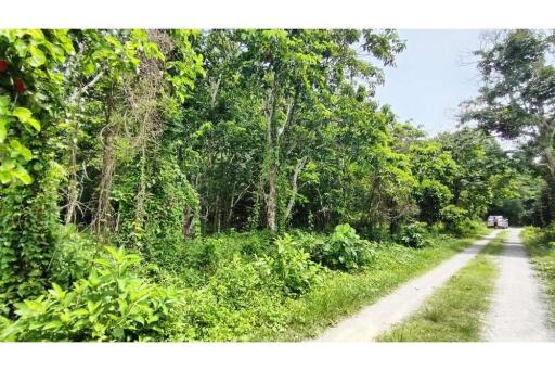 21,120 Sqm. Land listed for ฿ 7,000,000.