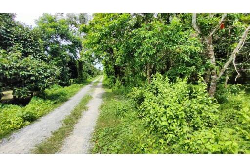 21,120 Sqm. Land listed for ฿ 7,000,000.