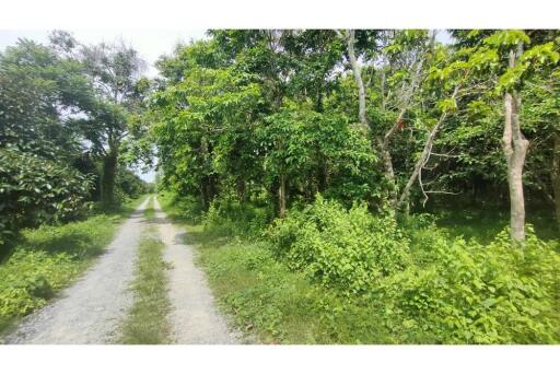 21,120 Sqm. Land listed for ฿ 7,000,000.