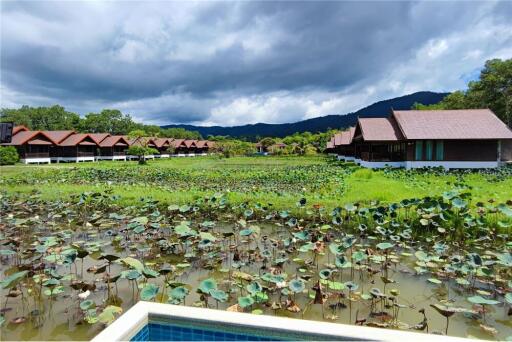 Lotus hotel and villas Koh Samui for sale