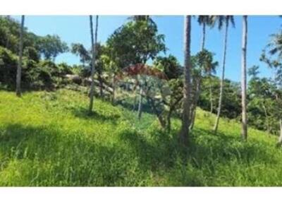 Sea View land for sale in Chaweng Noi