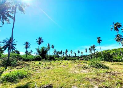 Beachfront Land Koh Samui for Sale