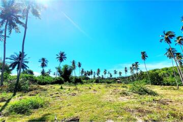 Beachfront Land Koh Samui for Sale