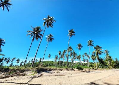 ขายที่ดินริมชายหาดเกาะสมุย