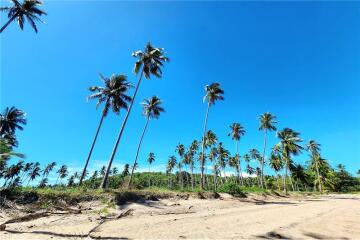 Beachfront Land Koh Samui for Sale