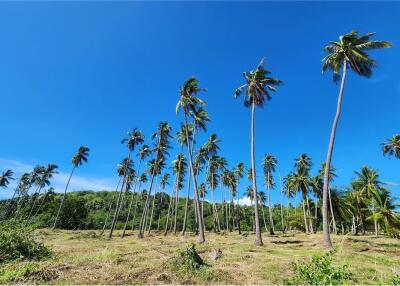 Beachfront Land Koh Samui for Sale