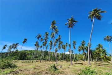 Beachfront Land Koh Samui for Sale