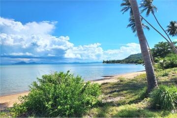 Beachfront Land Koh Samui for Sale