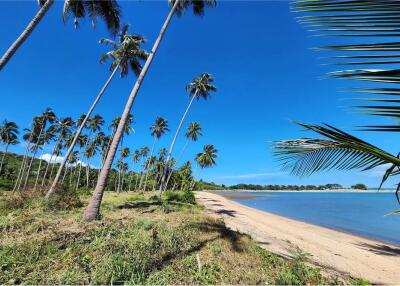 ขายที่ดินริมชายหาดเกาะสมุย