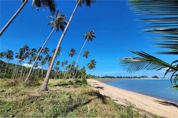 Beachfront Land Koh Samui for Sale