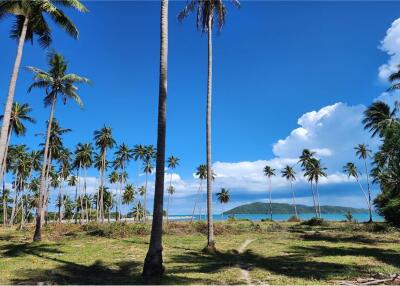 ขายที่ดินริมชายหาดเกาะสมุย