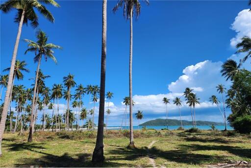 Beachfront Land Koh Samui for Sale