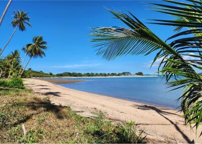 ขายที่ดินริมชายหาดเกาะสมุย